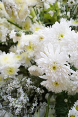 Bunch white tone color flower with Chrysanthemum and Gypsophila flower, pure and fresh 