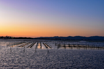 Obraz premium 浜名湖の夕日と海苔養殖場