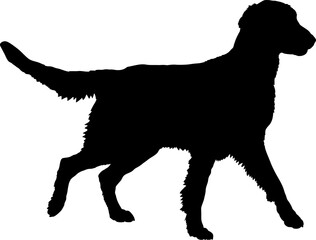Flat Coated Retriever Dog silhouette breeds dog breeds dog monogram logo dog face vector