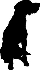 German Wirehaired Pointer. Dog silhouette breeds dog breeds dog monogram logo dog face vector