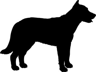 Beauceron Dog silhouette breeds dog breeds dog monogram logo dog face vector - obrazy, fototapety, plakaty