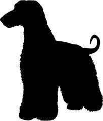 Afghan Hound Dog silhouette breeds dog breeds dog monogram logo dog face vector