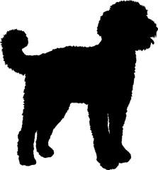 Aussiedoodle Dog silhouette breeds dog breeds dog monogram logo dog face vector