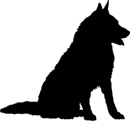  Belgian Tervuren Dog silhouette breeds dog breeds dog monogram logo dog face vector
