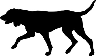 Black and Tan Сoonhound. Dog silhouette breeds dog breeds dog monogram logo dog face vector - obrazy, fototapety, plakaty