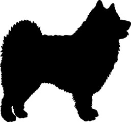 Keeshond Dog silhouette breeds dog breeds dog monogram logo dog face vector - obrazy, fototapety, plakaty
