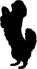  Japanese Chin Dog silhouette breeds dog breeds dog monogram logo dog face vector
