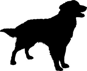 Nederlandse Kooikerhondje Dog silhouette breeds dog breeds dog monogram logo dog face vector - obrazy, fototapety, plakaty