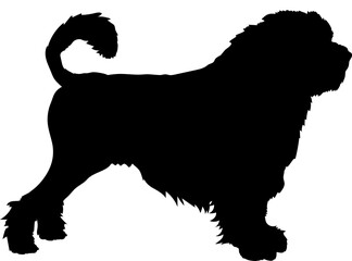 Löwchen Dog silhouette breeds dog breeds dog monogram logo dog face vector