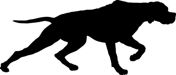 Pointer Dog silhouette breeds dog breeds dog monogram logo dog face vector