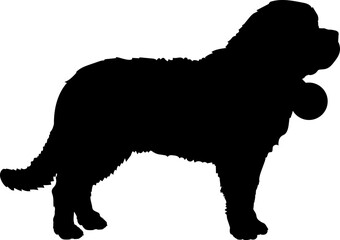 Saint Bernard Dog silhouette breeds dog breeds dog monogram logo dog face vector - obrazy, fototapety, plakaty
