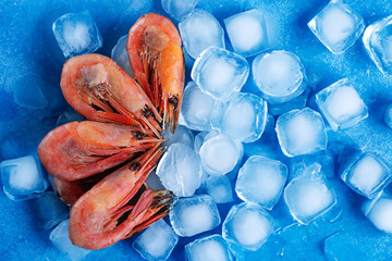 Shrimps on the ice cubes.