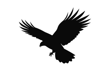 A Hawk Bird Flying Silhouette Vector