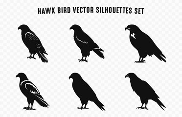 Hawk Bird Silhouettes Vector Set, Hawk Birds Black Silhouette Collection