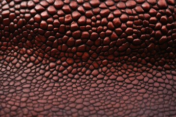 a high quality stock photograph of Skin Texture For Zombie, Dragon, Alien, Monster or Creature