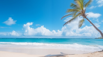 Fototapeta na wymiar Tropical Beach with Palm Tree in Foreground