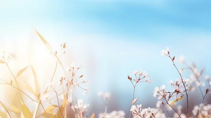  A fresh spring blue sunny sky background with blurred sunny glow © Yellow