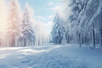 Foto op Plexiglas Sunny winter forest idyll with white snowy trees, nature scene banner background with copy space for vacation, travel and December holidays © Areesha