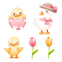 White duck and yellow baby hatching from pink easter egg include pastel colorful tulips watercolor isolated