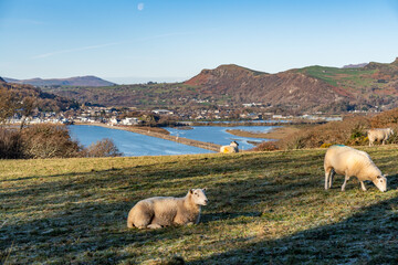 Views around Porthmadog countryside north Wales uk