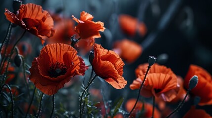 Red poppies on the meadow. Soft selective focus. Generative AI