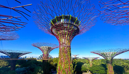 Gardens by the Bay and blue sky. Tourist destination in Singapore.