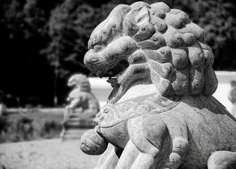 Yangtorp Sanctuary Buddhist Temple Lion Statue - 704362719