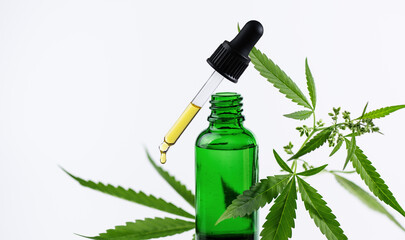 Dropper with cannabis oil and hemp leaf on white background. Hemp CBD oil in a bottle. Herbal cannabis face serum for skin care.
