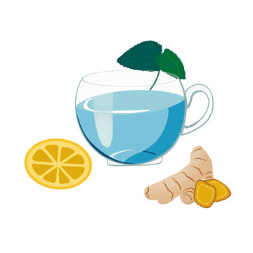 Illustration of a hot drink, Refreshing Mint Tea with ginger and lemon, on a transparent background