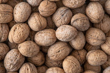 Walnut in shell. Background view from above. Healthy food top view