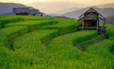 Landscape of rice terrace and hut with mountain range background and beautiful sunrise sky. Nature...