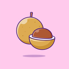 Longan Fruit Illustration, Vector, Isolated Icon