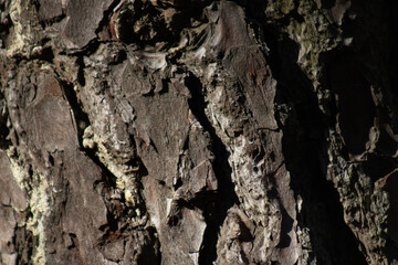 texture