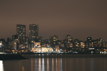 Fototapeta premium city skyline at night