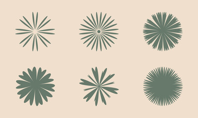 set of vector abstract natural flower shapes