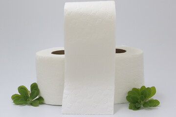 roll of toilet paper on white background