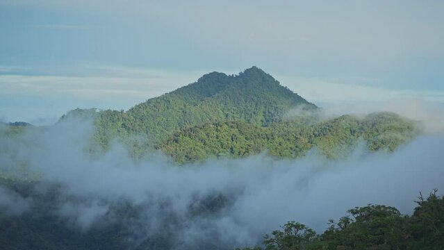 Misty cloud forest in the foothills of the Chiriqui highlands in Baru volcano, Panama, Central America - stock video