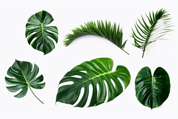 Fototapeta na wymiar collection of tropical leaves isolated on white background. generative ai