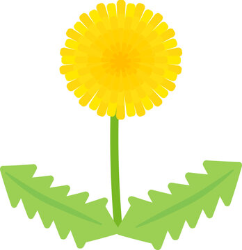 recommend clip art: シンプルでかわいいタンポポのイラスト（フラットデザイン）