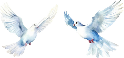 watercolor of dove bringing peace - obrazy, fototapety, plakaty