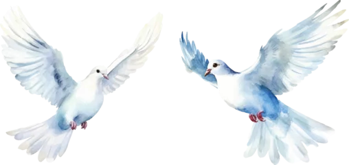 Deurstickers watercolor of dove bringing peace © Finkha