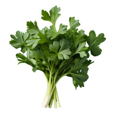 Vegetable lettuce,parsley,carrot png