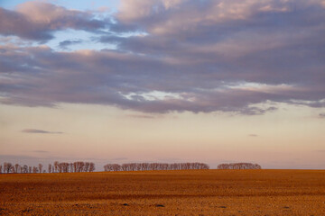 A freshly ploughed field with distant trees against an evening sky.