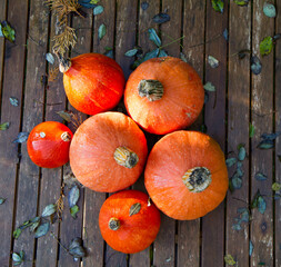 Pumpkins gathered from a garden, on a wooden table, with some autumn leaves - 704379985