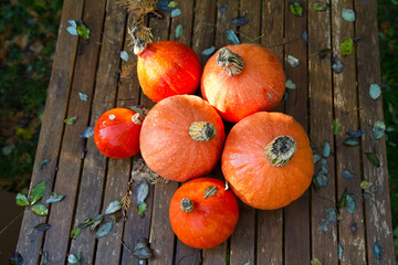 Pumpkins gathered from a garden, on a wooden table, with some autumn leaves - 704379987