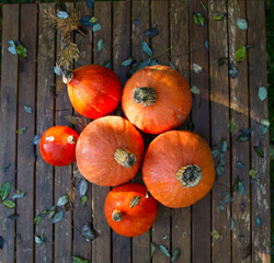 Pumpkins gathered from a garden, on a wooden table, with some autumn leaves - 704379999