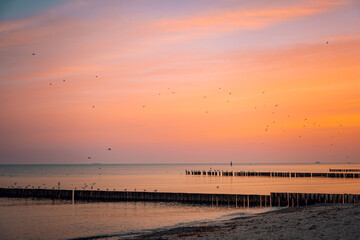 Naklejka premium Sonnenaufgang am Strand Gespensterwald Nienhagen an der Ostsee, Ostseeküste, Mecklenburg-Vorpommern, Deutschland