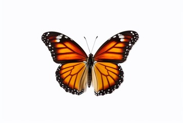 Obraz premium beautiful butterfly isolated on white background. generative ai