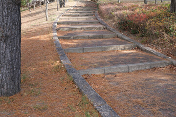 枯葉の落ちる小道