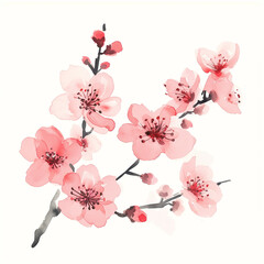 桜の水彩イラスト、春、枝、ピンク